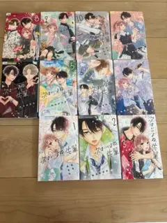 「次はいいよね、先輩」11巻セット
