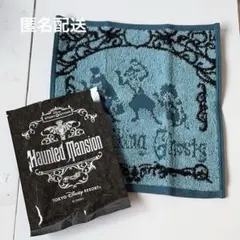 ディズニー　ホーンテッドマンション　ストーリービヨンド　ヒッチハイキングゴースト