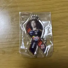 RB大宮アルディージャ 23杉本健勇