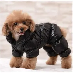 Item thumbnail for item 6c9907d3-5853-47c9-aa1e-f4892c6894f4