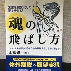 魂の飛ばし方 : 未来を視覚化して夢を叶える! : 「タマエミチ修行」が今の自… 未来を視覚化して夢を叶える！ 魂の飛ばし方 タマエミチ