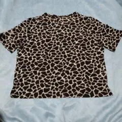 レディース/半袖Tシャツ//キリン柄/キリン模様VINVERT/バンベール/中古
