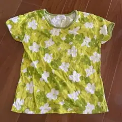 Item thumbnail for item 55aa137a-05a2-4b7b-90a4-23207a05cba5