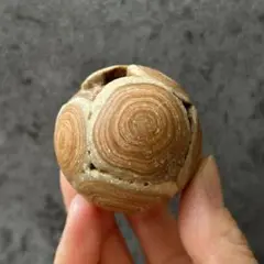 龍宮舎利　龍宮舎利石 竜宮舎利　スフィア