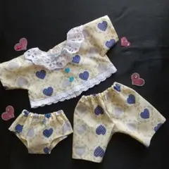 ハンドメイド（D93）ぽぽちゃんの服2点セット