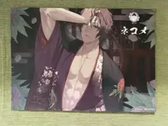 ブラスタ AGF ネコメ チラシ 特典