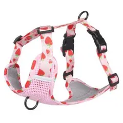 Item thumbnail for item 0a16fc5b-c759-47cf-a141-07fa86936f11