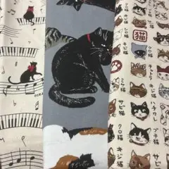 かわいいハギレセット①