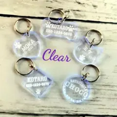 Item thumbnail for item cb17dd1b-5fd9-4ba7-8444-20e77a327fa7