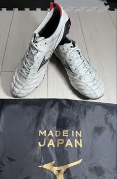モレリアNEO4JAPAN