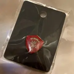 ⭐️値引⭐️ペルージャ ピンバッチ✨新品未使用未開封品✨