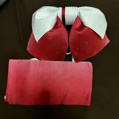 Item thumbnail for item b8a24971-9c37-4e48-bdf5-dd9114c3d31b