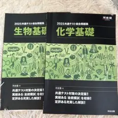 河合塾2025年共通テスト総合問題集