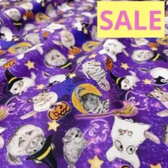 SALE【オリジナル生地】チンチラ　ハロウィン柄　パープル