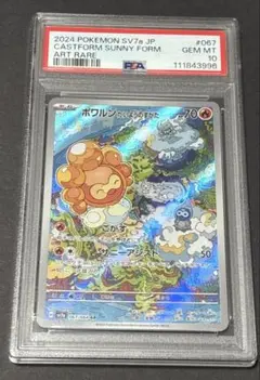2025年最新】ポワルン ar psa10の人気アイテム - メルカリ