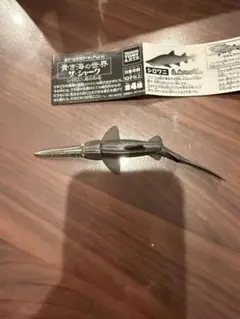 ノコギリザメ　青き海の世界　ザ・シャーク