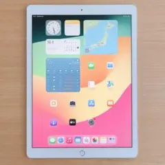匿名発送 iPad Pro12.9inch 2nd Wi-Fi+Cellular