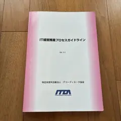 IT経営推進プロセスガイドラインVer.3.1