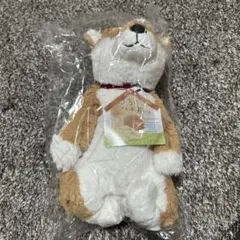 犬 ぬいぐるみ うちのハル君です 約25cm