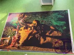 Item thumbnail for item 465915b9-d326-4eac-9823-357376c1b8ad