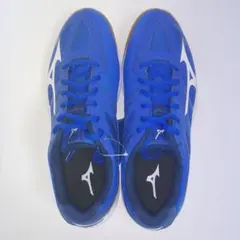 MIZUNO V1GA197026