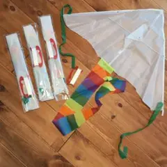 Item thumbnail for item 5fde88f9-f419-45ce-8a53-c3be1612774d