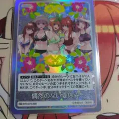 偶然のない夏休みGR