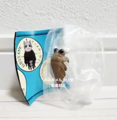 PUTITTO ヒグチユウコ ボリス雑貨店 アノマロ④