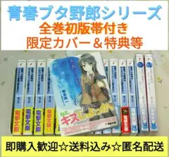 2025年最新】青春ブタ野郎はナイチンゲールの夢を見ない（11）の
