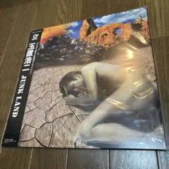 玉置浩二　ジャンクランド　LPレコード