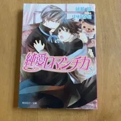 純愛ロマンチカ 8
