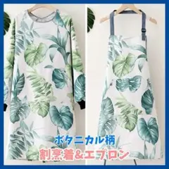 Item thumbnail for item 09bc42ba-ceee-4c32-acb7-5f588d273906