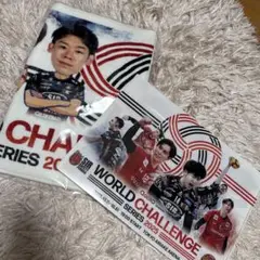 Item thumbnail for item a73a3699-ed47-4dc5-b798-fa05f9059206