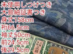 Item thumbnail for item 933f3d01-0f41-4efe-b347-63c3c041a5eb