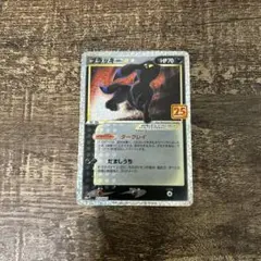 ブラッキー　25th anniversary プロモ　美品