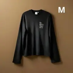 Item thumbnail for item 5bc58b83-567c-4263-a5da-bedb7781169f