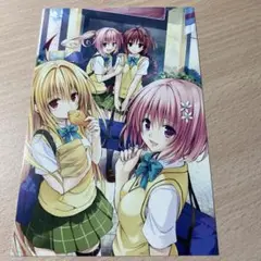 Toloveる展 アートパネルG ナナ・ヤミ・メア・モモ アートパネルG ナナ・ヤミ・メア・モモ | Goo Goo Dept.