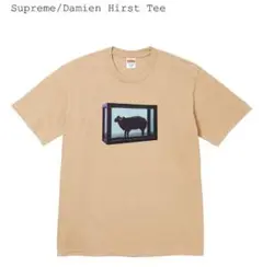Supreme / Damien Hirst Box Logo Tee