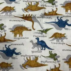 ダブルガーゼ生地　ダイナソー　クリーム　生地巾×50センチ