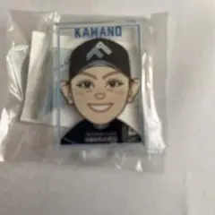 ファイターズガチャアクリルスタンド