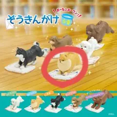 ガチャガチャ　YELL エール ぞうきんがけ当番～おーるふぉーワン！～