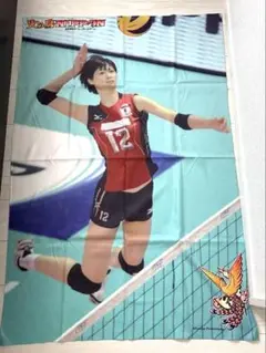 木村沙織 ビッグサイズ ブランケット