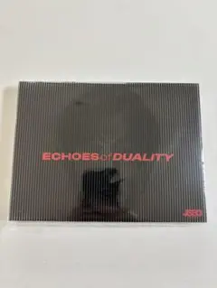 JSB3 ECHOES of DUALITY MATE盤