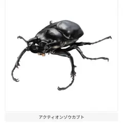 アクティオンゾウカブト　ゾウカブトとヘラクレスオオカブト　いきもの大図鑑　ガチャ