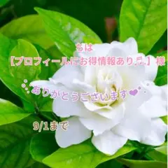 ちは 【プロフィールにお得情報あり♬.様 おまとめパーツ(˘͈ᵕ ˘͈ *)♡