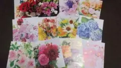 フラワーショット×12枚
