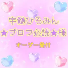 宇髄ひろみん ★プロフ必読 ★様 オーダー専用ページ✩.*˚