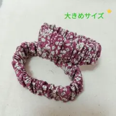 Item thumbnail for item 3861aaf1-5ccc-4f28-b815-47b4d1868978