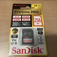 Item thumbnail for item 268520a0-fc9d-469a-a17b-d6b7ee50f117