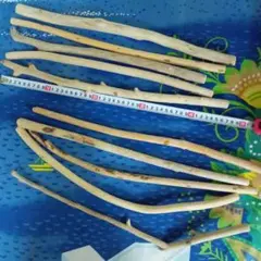 Item thumbnail for item 553b38cf-acab-449c-8b29-4bffb0f52a3f